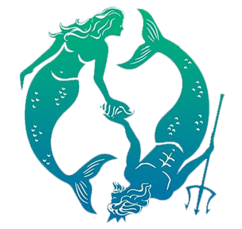 Seas the Day Chicago